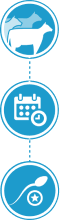 Fertimax advantages