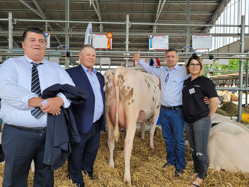 Reserve winner of the young cows with judge Massimo Capra, breeder Stanisław Żochowski, Managing Director INTERGEN Jaroslaw Chudy and daughter of Stanisław Żochowski (from left to right)