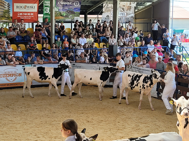 Young breeders presenting their animals