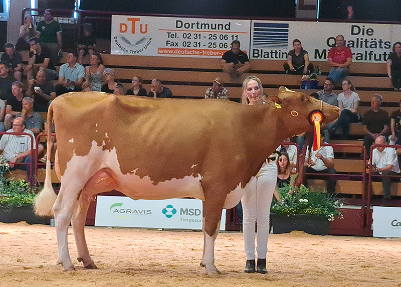 Abbildung 2: Dice Red daughter, 2. La Hah Zulu (Owner: Andreas Bewersdorff, Ruhwinkel)