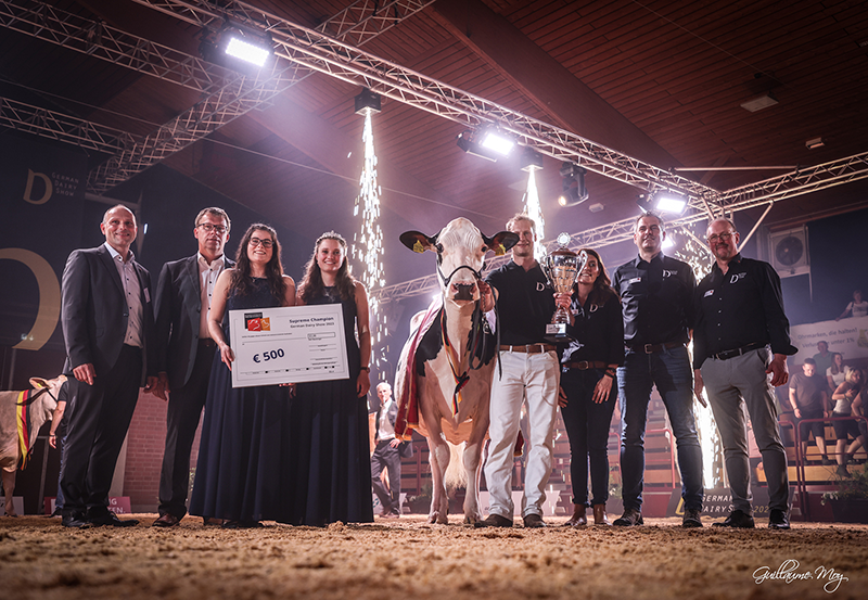 Abbildung 9: Supreme Grand Champion: Elina von Wilcor Holsteins aus Warmsen  Photo: Guillaume Moy 