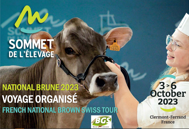 French National Brown Swiss tour 