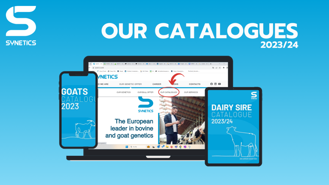 Dairy Sire and Goats catalogues