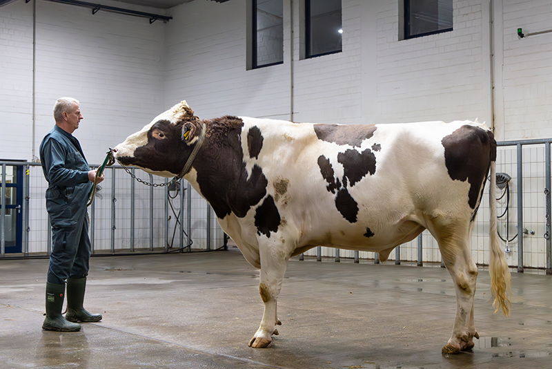 Say Red VG 89