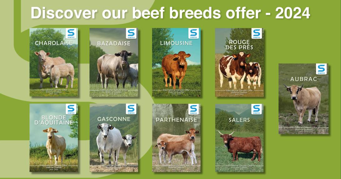 Beef Breeds Offer