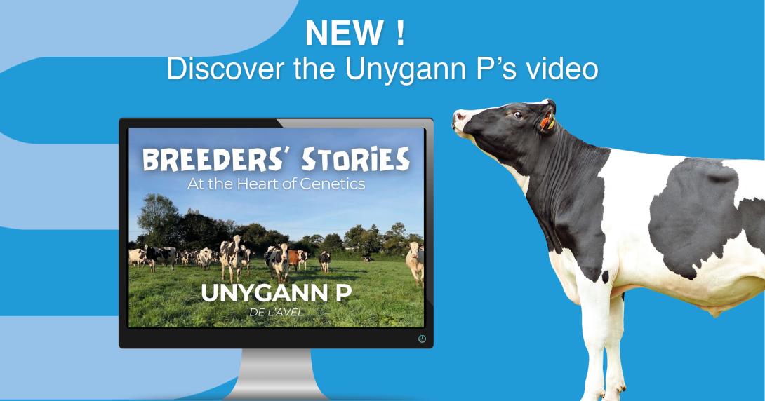 Unygann P's video