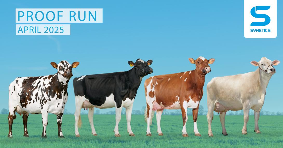 Proof Run April 2025